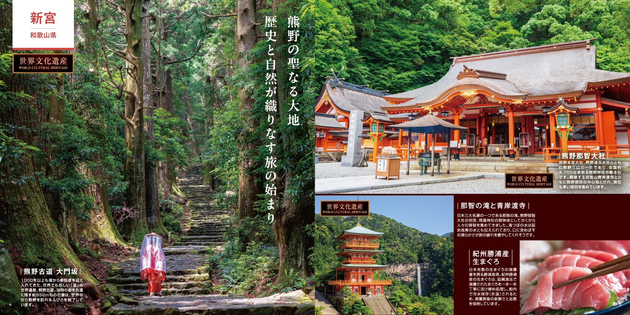 クルーズ旅行　ガイドブック　