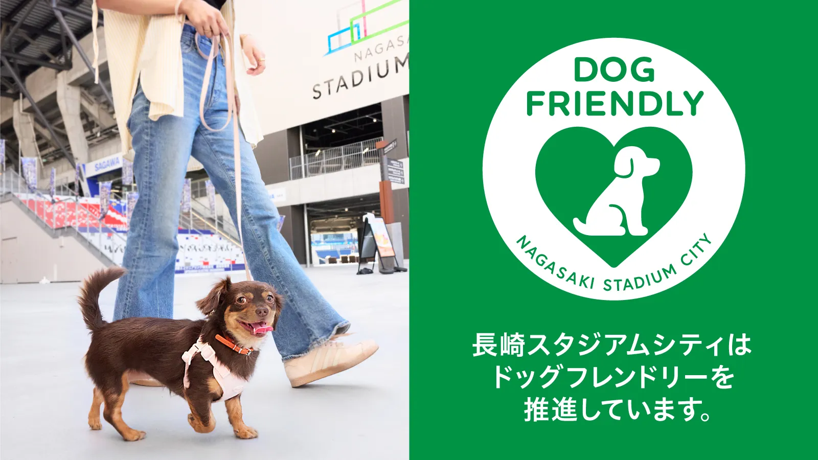 「スタジアムシティドッグラン会員」5月31日（日）登録スタート！ 絶景の屋上ドッグランも誕生！施設全...